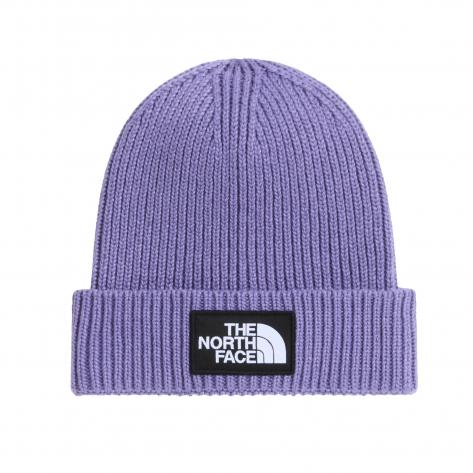 The North Face Kinder Mütze Kids TNF Logo Box Cuffed Beanie 8CGU 