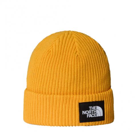 The North Face Mütze Salty Lined Beanie 8CGZ 