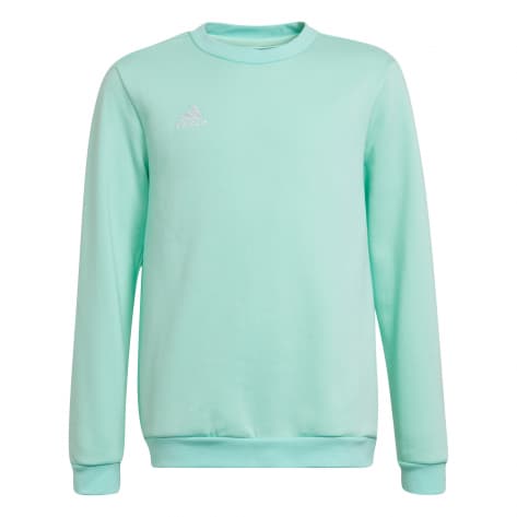 adidas Kinder Pullover Entrada 22 Sweat Top Youth 