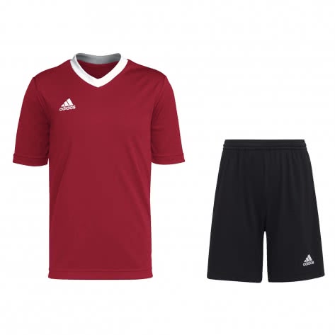 adidas Kinder Trikot Set Entrada 22 