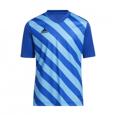 adidas Kinder Trikot Entrada 22 Graphic Jersey 