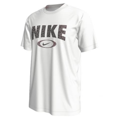 Nike Herren T-Shirt Dri-FIT Fitness T-S HJ3594 