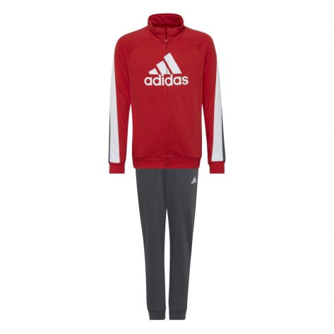 adidas Kinder Trainingsanzug Colorblock Big Badge of Sport 