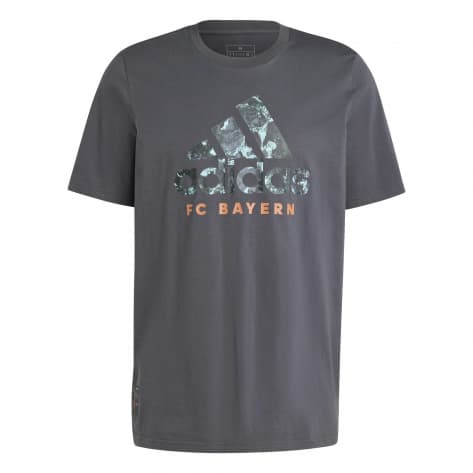adidas Herren FC Bayern München T-Shirt Seasonal Graphic Tee 