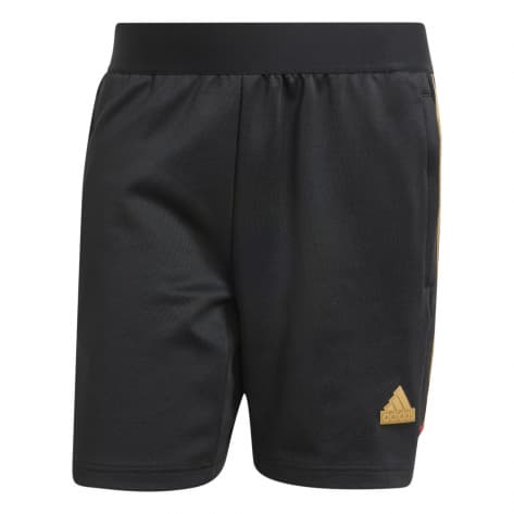 adidas Herren Short House of Tiro Nations Pack Shorts 
