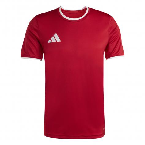 adidas Herren Trikot Entrada 26 Jersey 