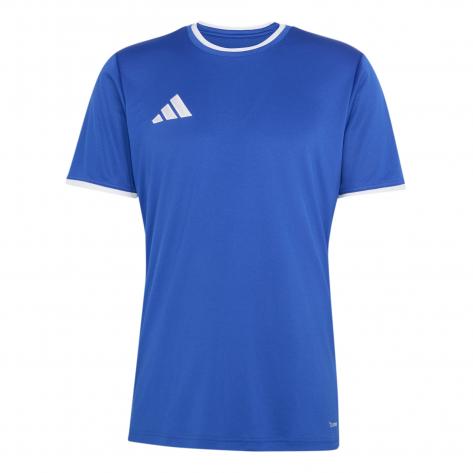 adidas Herren Trikot Entrada 26 Jersey 