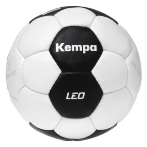 Кемпа Гандбол Лео 3690₽