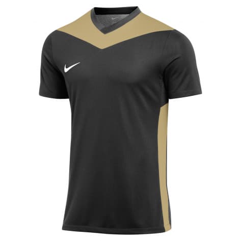 Nike Herren Trikot Dri-FIT Park Derby IV FD7430 