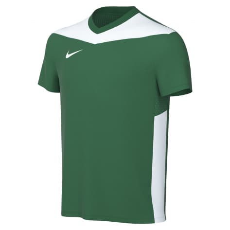 Nike Kinder Trikot Dri-FIT Park Derby IV FD7438-303 128-137 Pine Green/Tour Yellow/White | 128-137