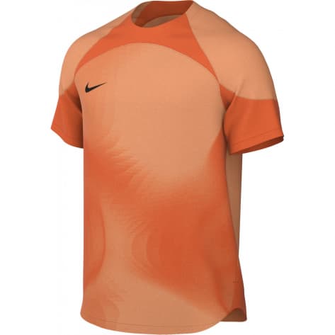 Nike Herren Torwarttrikot Dri-FIT ADV Gardien IV DH7760 