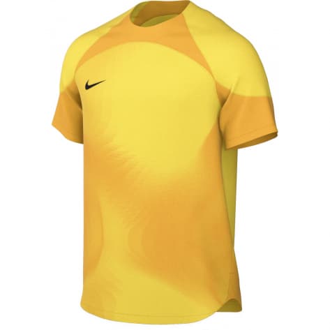 Nike Herren Torwarttrikot Dri-FIT ADV Gardien IV DH7760 