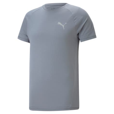 Puma Herren T-Shirt Evostripe Tee 673311 