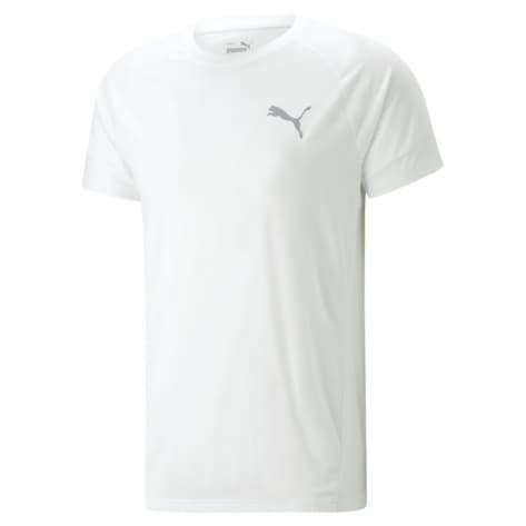 Puma Herren T-Shirt Evostripe Tee 673311 