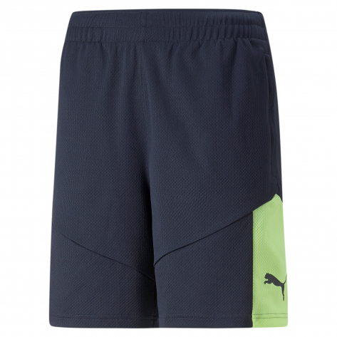 Puma Herren Short individualFINAL Training Shorts 658042 