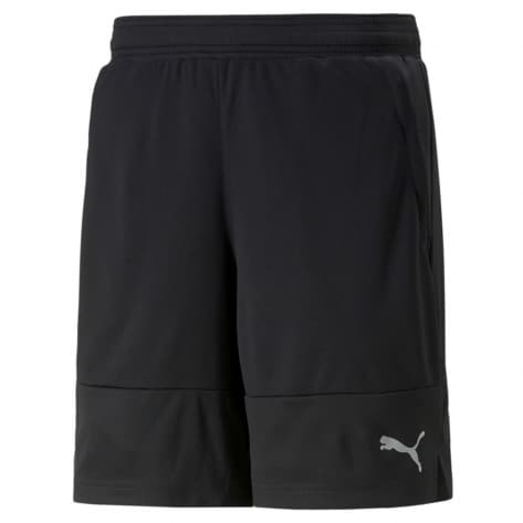 Puma Herren Short TRAIN ALL DAY 8  Short 522341 