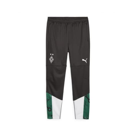 Puma Herren Trainingshose BMG Training Pants 774324 