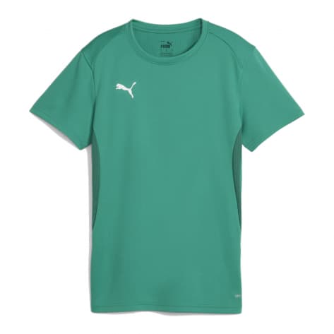 Puma Damen Trikot teamGOAL Jersey Wmn 658638 