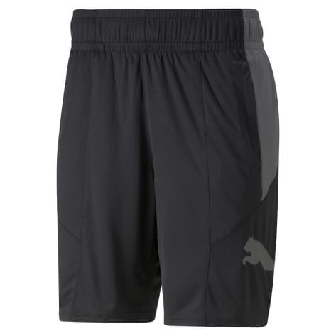 Шорты Puma Herren со шлейфом FAV CAT KNIT 8 SHORT 522354