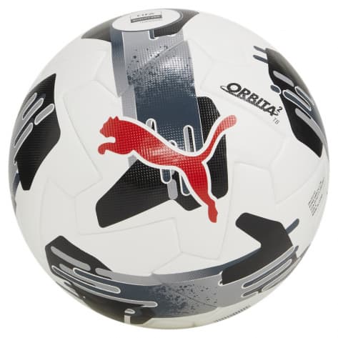 Puma Fussball Orbita 2 TB (FIFA Quality Pro) 084323-02 5 Puma White-Puma Black | 5