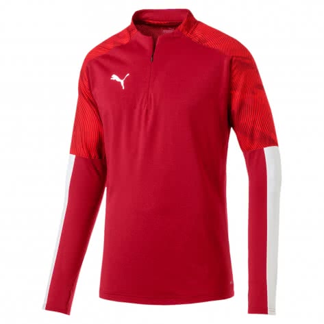 Puma Herren Pullover Cup Training 1/4 Zip Top 656016 