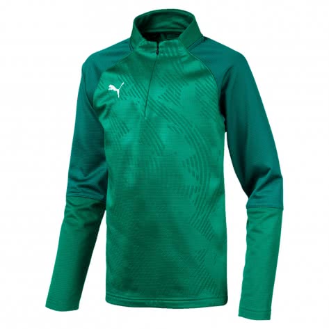 Puma Kinder Pullover Cup Training 1/4 Zip Core Jr 656019-05 128 Pepper Green-Alpine Green | 128