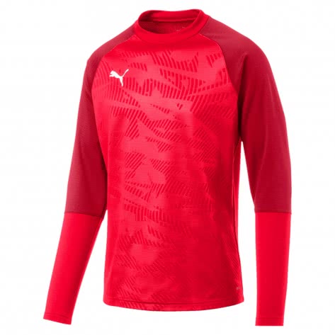 Puma Herren Pullover Cup Training Sweat Core 656021 