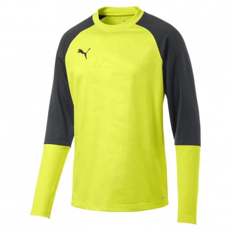 Puma Herren Pullover Cup Training Sweat Core 656021-16 M Fizzy Yellow-Asphalt | M