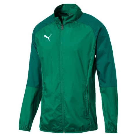 Puma Herren Präsentationsjacke CUP Sideline Woven JKT Core 656045 