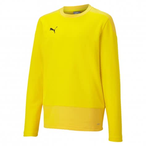 Puma Kinder Sweatshirt teamGOAL 23 Training Sweat Jr 656568 