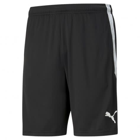 Puma Herren Short teamLIGA Training Shorts 657249 