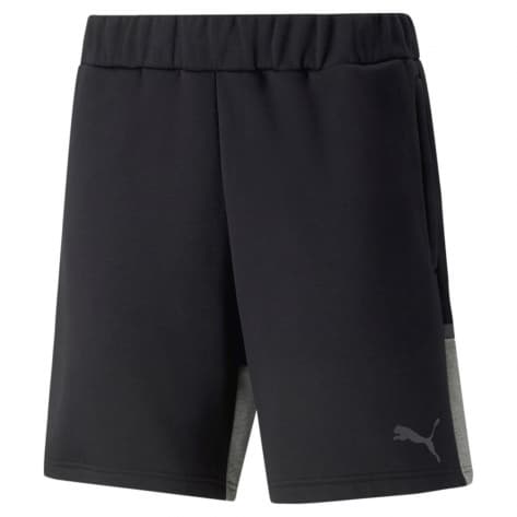 Puma Herren Shorts teamCUP Casuals Shorts 657989 