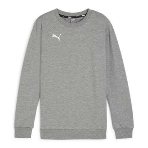 Puma Kinder Pullover teamGOAL Casuals Crew Neck Sweat Jr 658593 