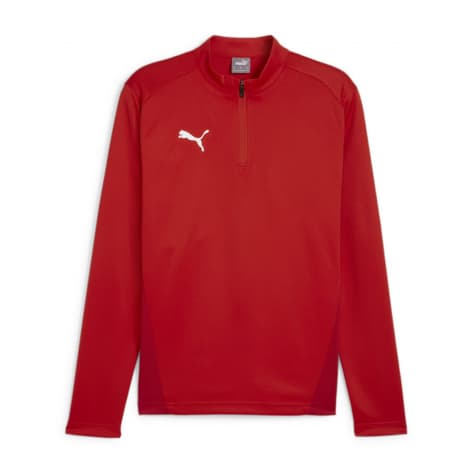 Puma Herren Langarmshirt teamGOAL Training 1/4 Zip Top 658629 