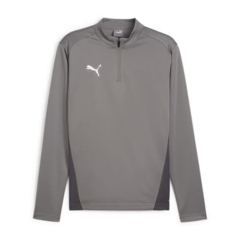 Puma Herren Langarmshirt teamGOAL Training 1/4 Zip Top 658629 