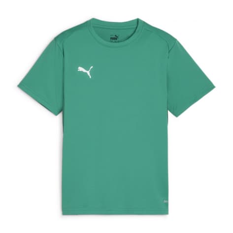Puma Kinder T-Shirt teamGOAL Jersey Jr 658637 