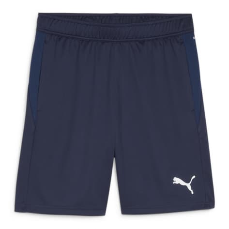 Puma Herren Short teamGOAL Training Short 658643 