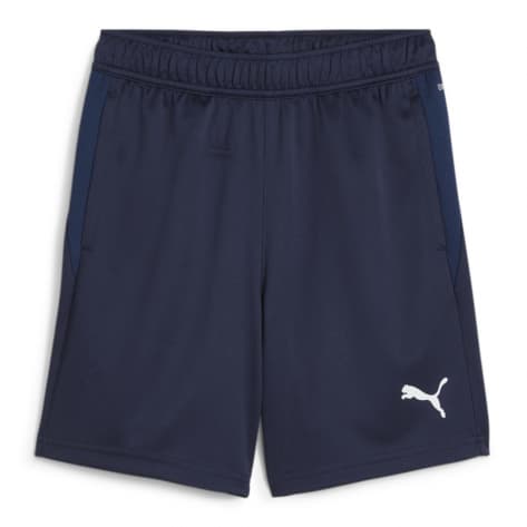 Puma Kinder Short teamGOAL Training Short Jr 658644 