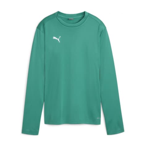 Puma Damen Pullover teamGOAL Training Sweat 658652 