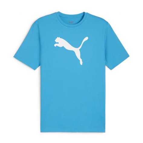 Puma Mens TeamRISE Logo Jersey Cotton 658705 T Shirt