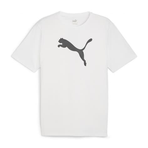 Puma Herren T-Shirt teamRISE Logo Jersey Cotton 658705 