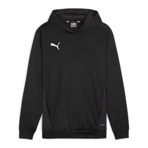 Puma Herren Kapuzenpullover teamGOAL Training Hoody M 658803 