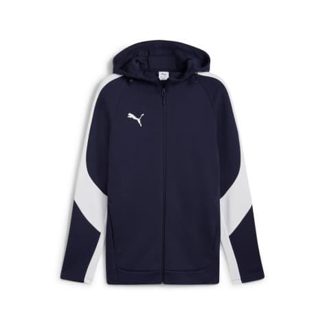 Puma Herren Sweatjacke EVOSTRIPE Hooded Jacket 659947 