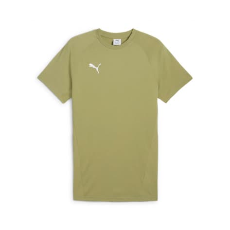 Puma Herren T-Shirt teamEVOSTRIPE Tee 659953 
