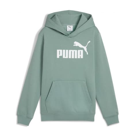 Puma Kinder Kapuzenpullover ESS No. 1 Logo Hoodie FL B 684908 