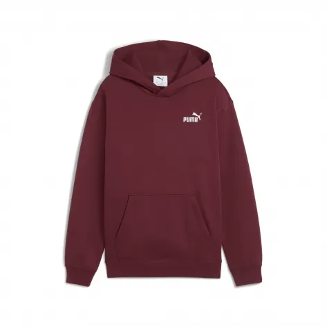Puma Kinder Kapuzenpullover ESS Small No. 1 Logo Relaxed Hoodie FL 684921 