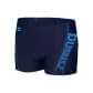 Arena Herren Badeshort M Byor Evo Short R 006477 