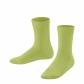Bio Lime