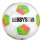 Derbystar Kinder Fussball Apus Light 350 v26 