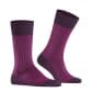 aubergine (8282)